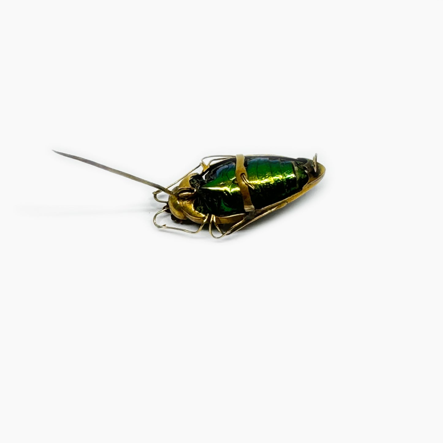 Antique Scarab Beetle Brooch, 9k Gold Victorian Green Jewel Beetle Pin, Vintage Real Green Beetle Gold Pin 9 ct Gold, Egyptian Revival