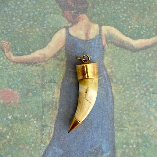 Antique 14k Gold Amulet Animal Tooth Pendant