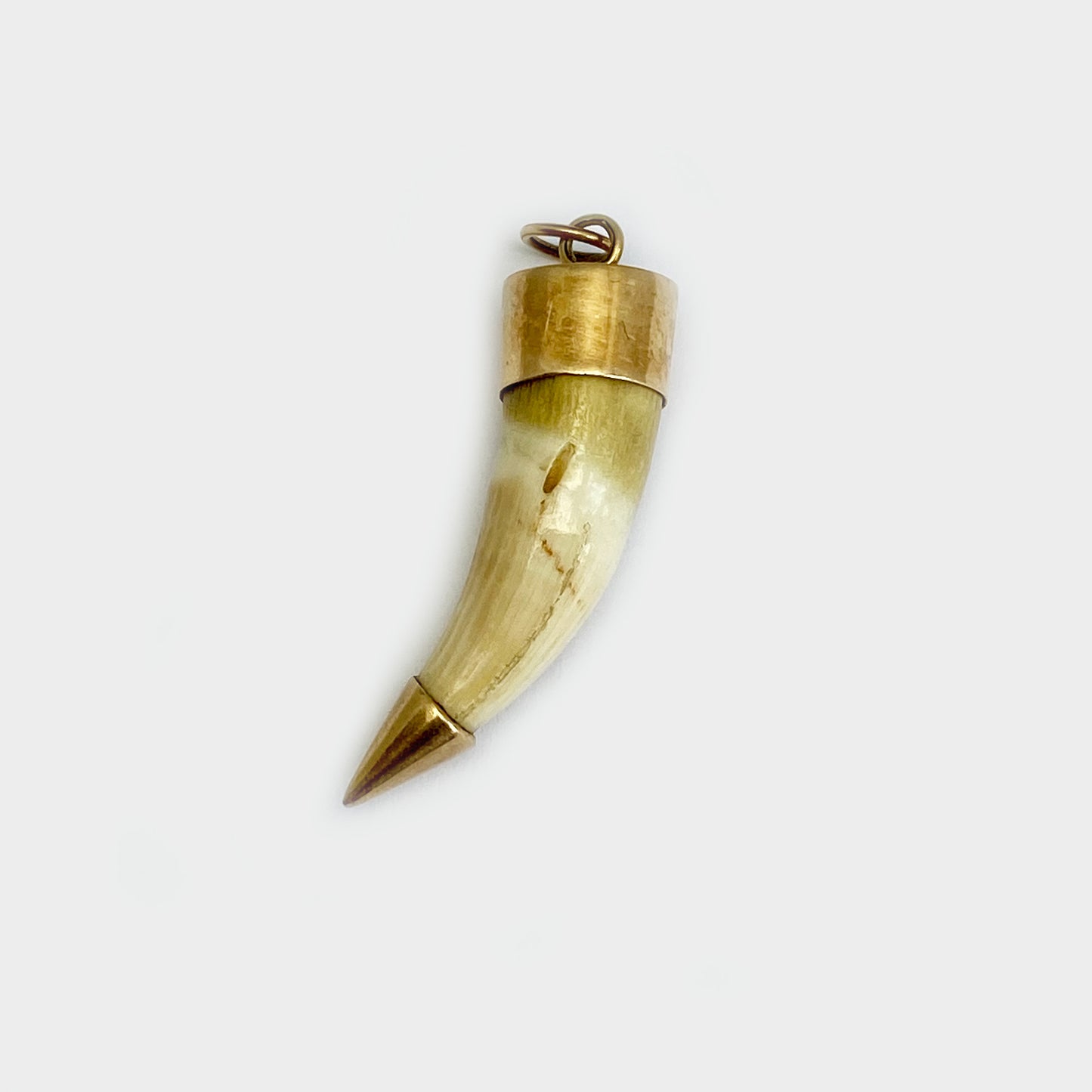 Antique 14k Gold Amulet Animal Tooth Pendant