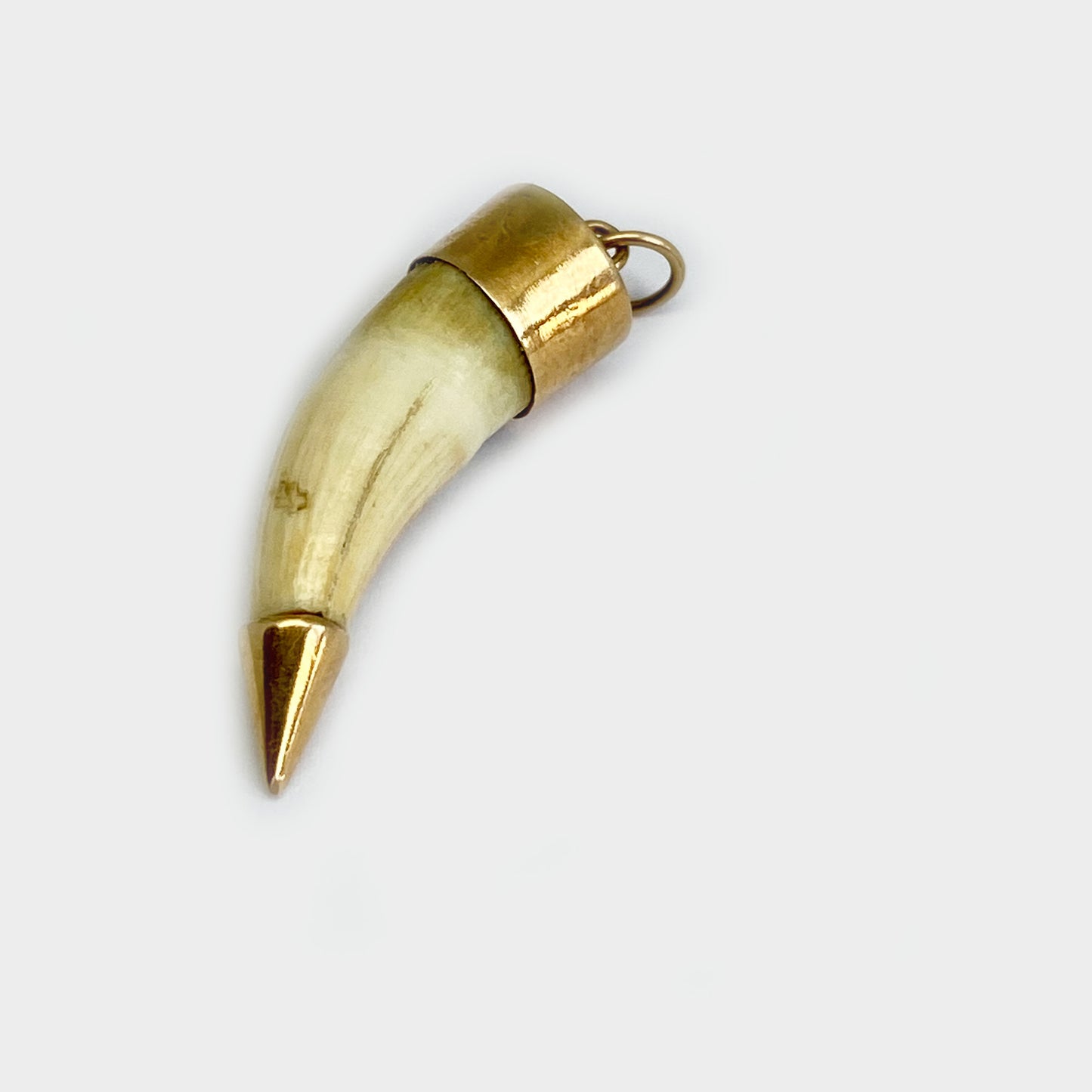 Antique 14k Gold Amulet Animal Tooth Pendant