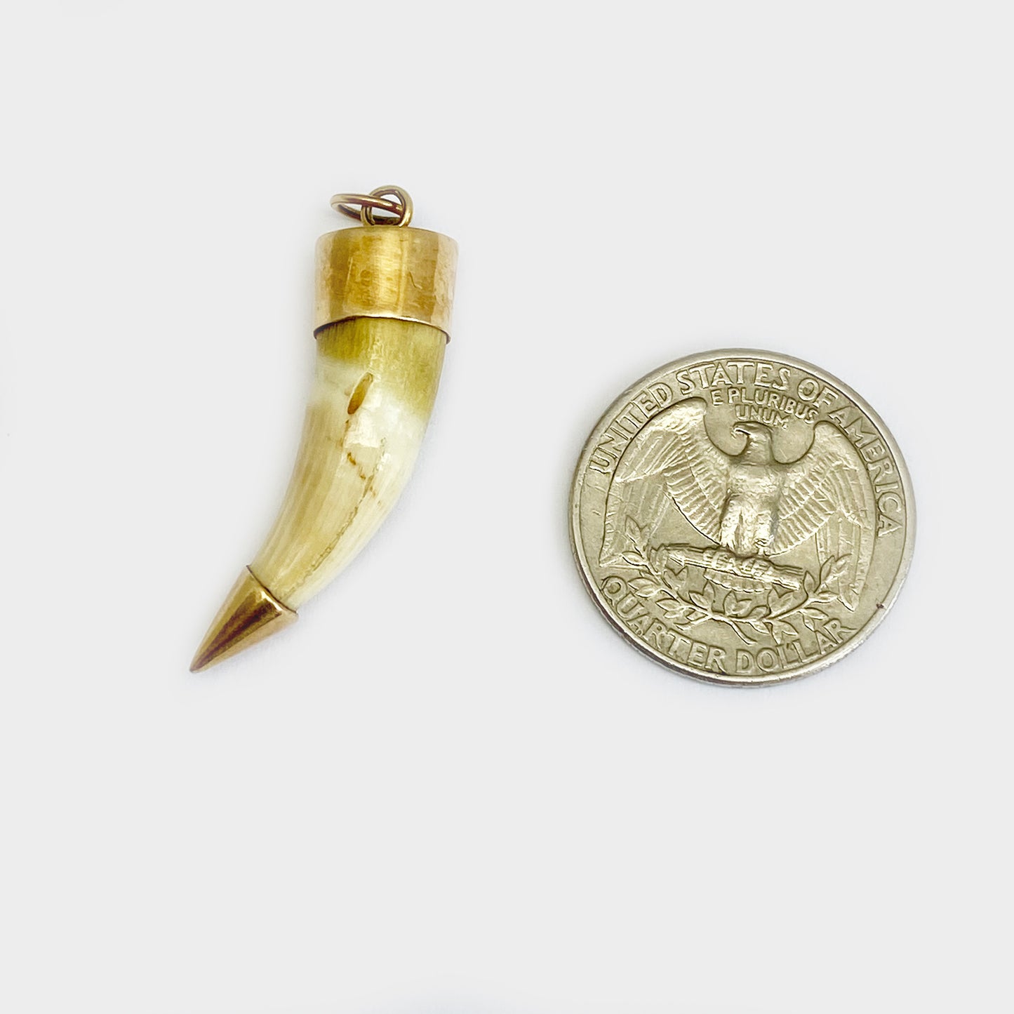 Antique 14k Gold Amulet Animal Tooth Pendant