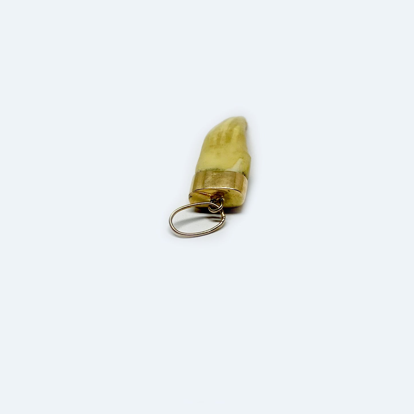 Antique 14k Gold Tooth Amulet Pendant