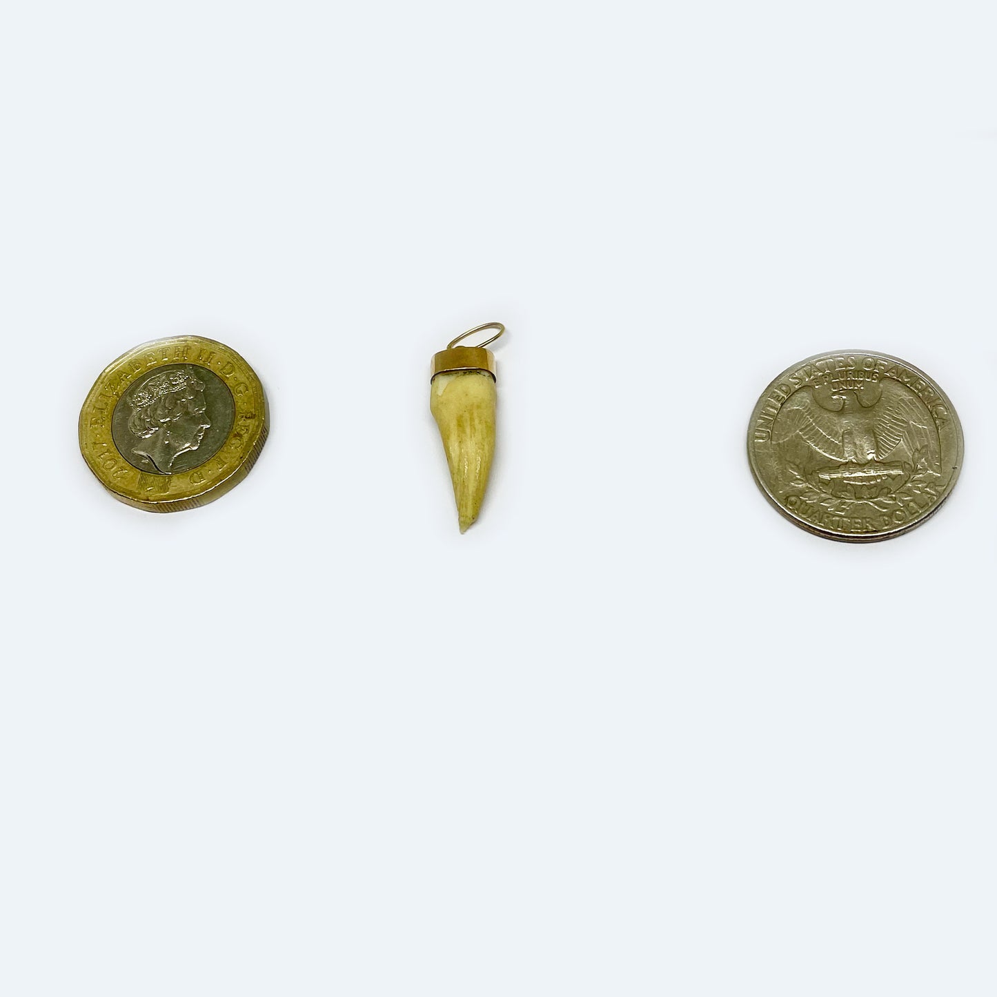 Antique 14k Gold Tooth Amulet Pendant