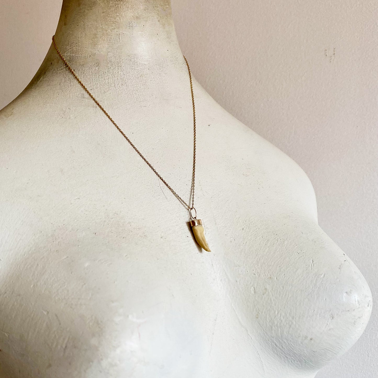 Antique 14k Gold Tooth Amulet Pendant
