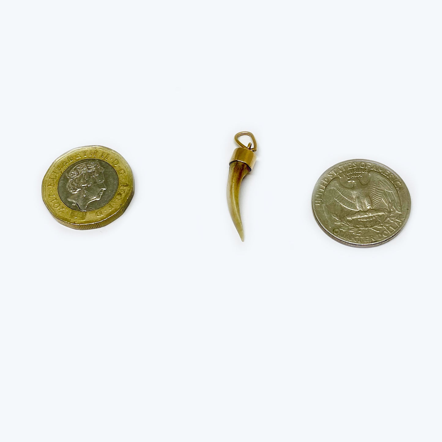 Antique 14k Gold Tooth, Animal Amulet Pendant