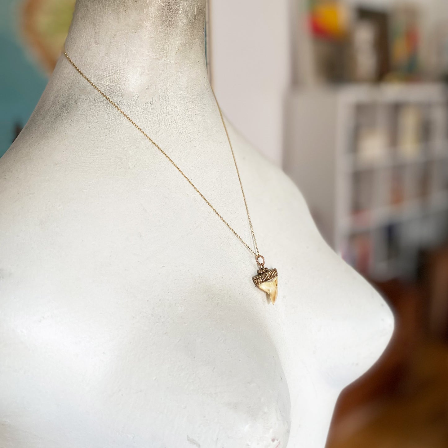 Victorian 15k Gold Shark Tooth Pendant, Antique 15 ct Gold Tooth Amulet