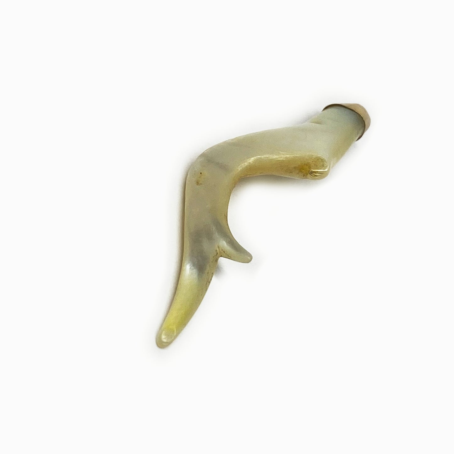 Victorian 18k Gold Natural Mother of Pearl Branch, 1800s Antique Twig, 18 ct Gold Cornetto, Horn Evil Eye Corno Charm Curniciello Horn