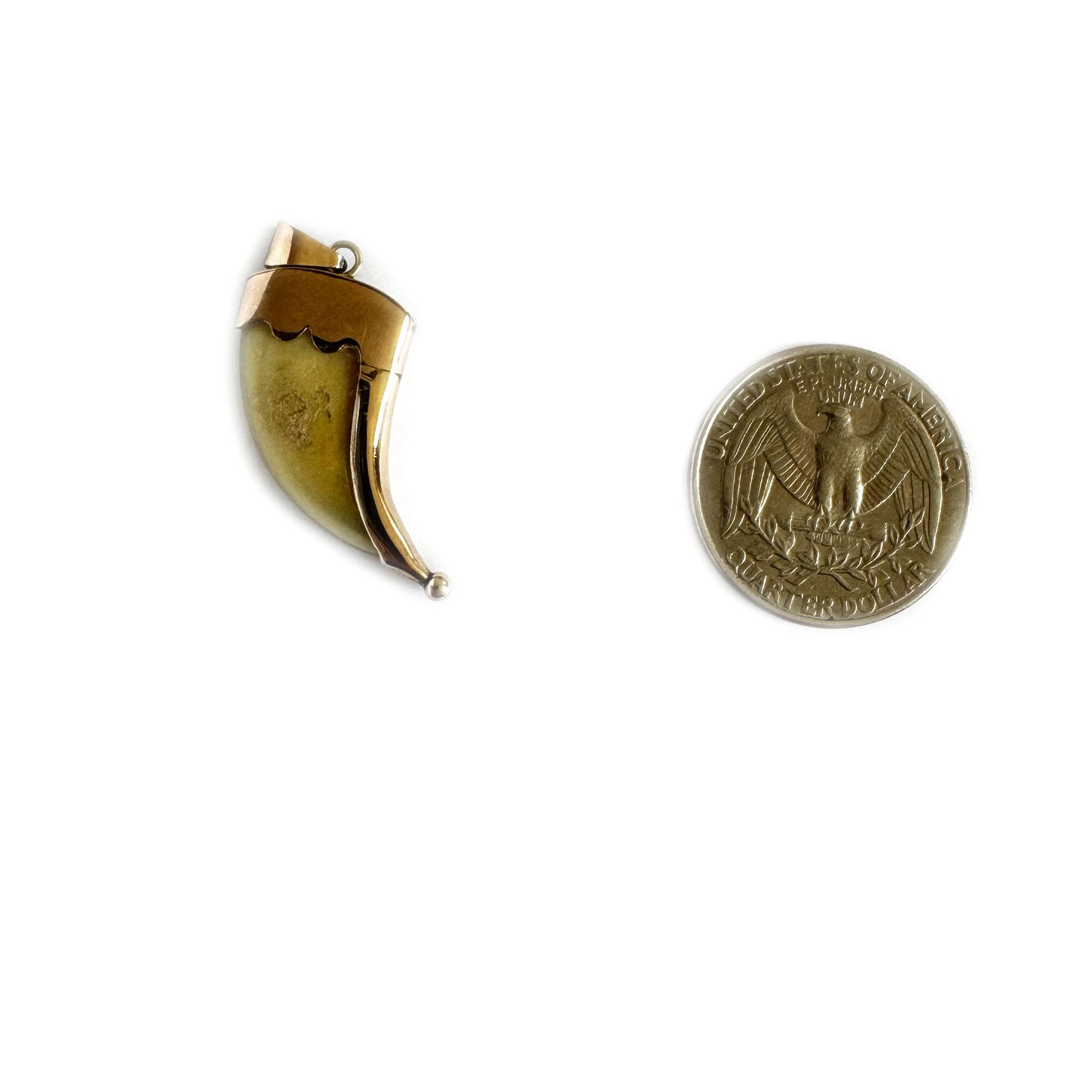 Antique 9K Gold Claw Pendant, 1900s Claw Jewelry, Edwardian Gold Amulet, Animal Talisman, Evil Eye, 9k Gold Tooth Claw Shaped Charm