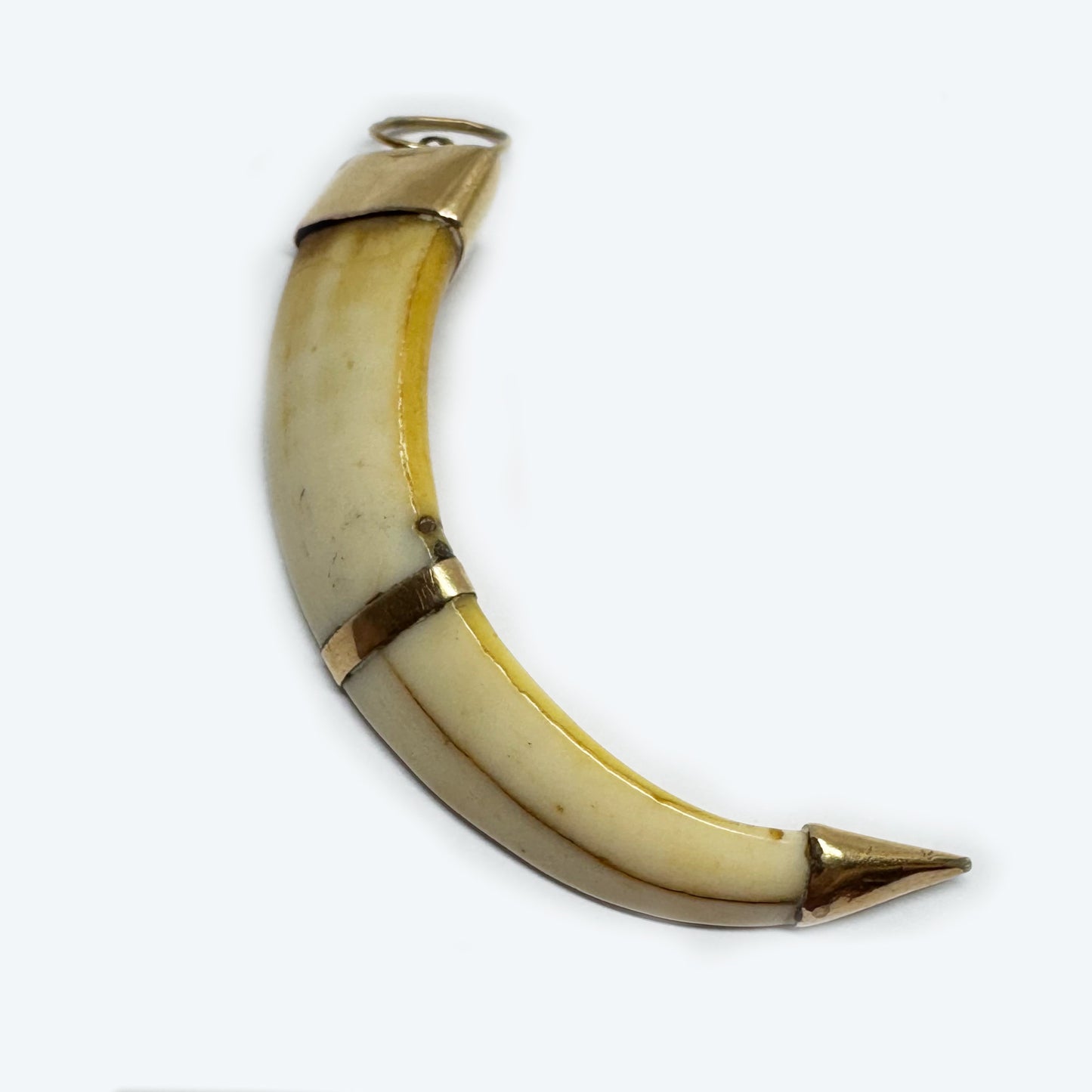 Victorian 14k Gold Boar Tusk Amulet, Antique Fang Pendant c.1880, Ethnic Good Luck Charm in Solid Gold