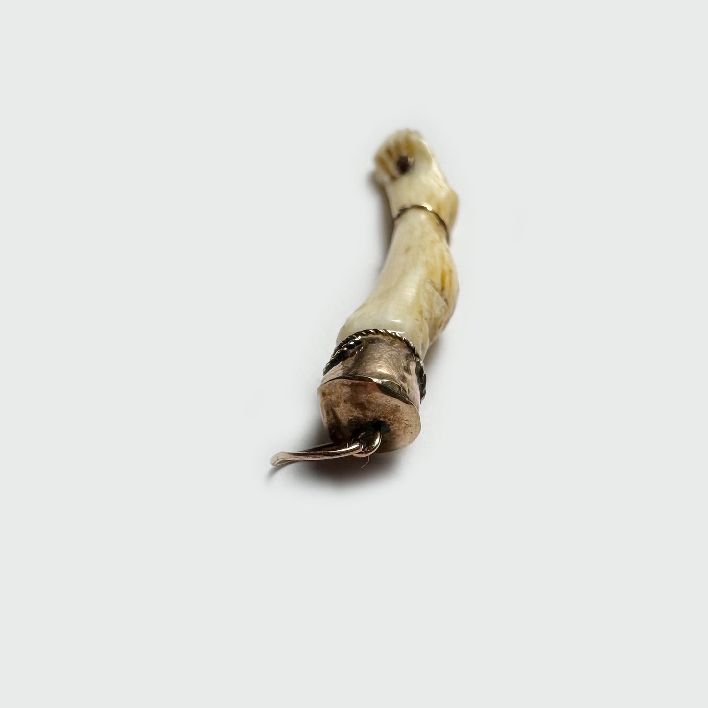 Antique 9K Gold Bone Leg Pendant, Victorian Pendant, Stigmata, 1800's Foot Charm, Christ Leg, Ruby, Anatomy Jewelry, Body Part Pendant