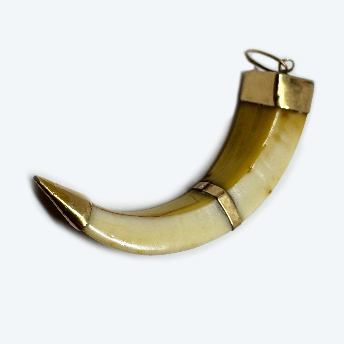 Victorian 14k Gold Boar Tusk Amulet, Antique Fang Pendant c.1880, Ethnic Good Luck Charm in Solid Gold