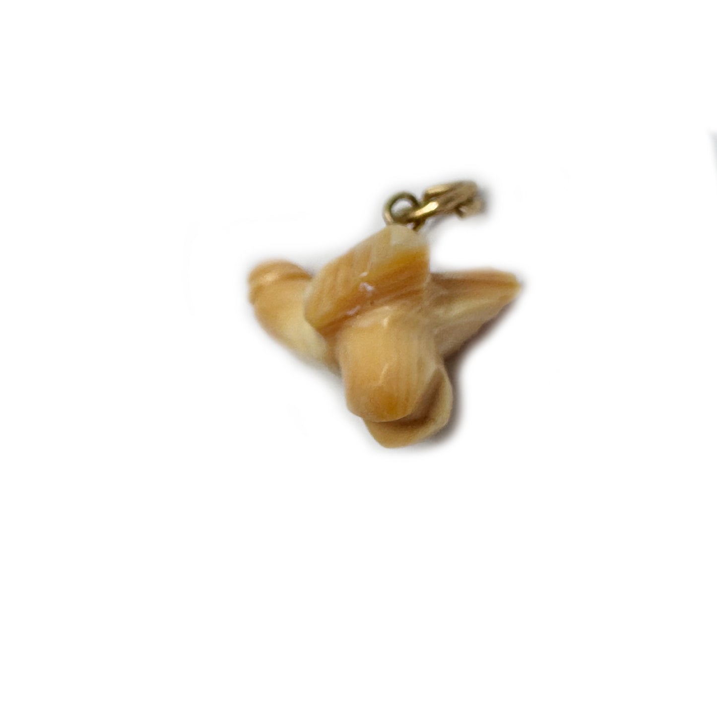 Vintage 14k Gold Shell Fascinus Amulet Pendant, Rare Italian Phallic Protection Talisman, Roman Revival Phallus Fertility Luck Charm