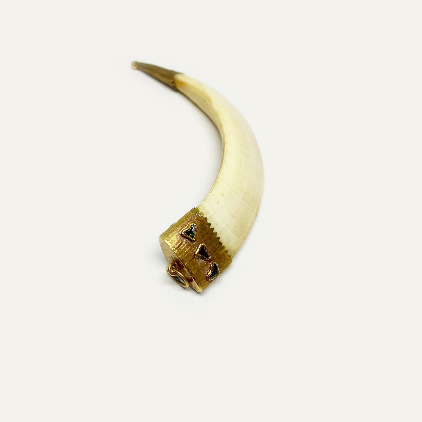 Antique 14k Gold Large Amulet Tooth Pendant