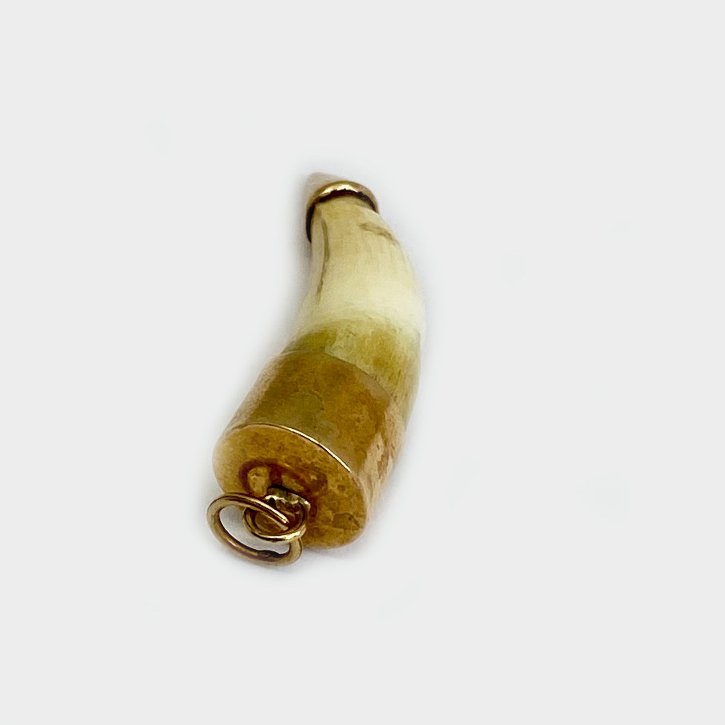 Antique 14k Gold Amulet Animal Tooth Pendant