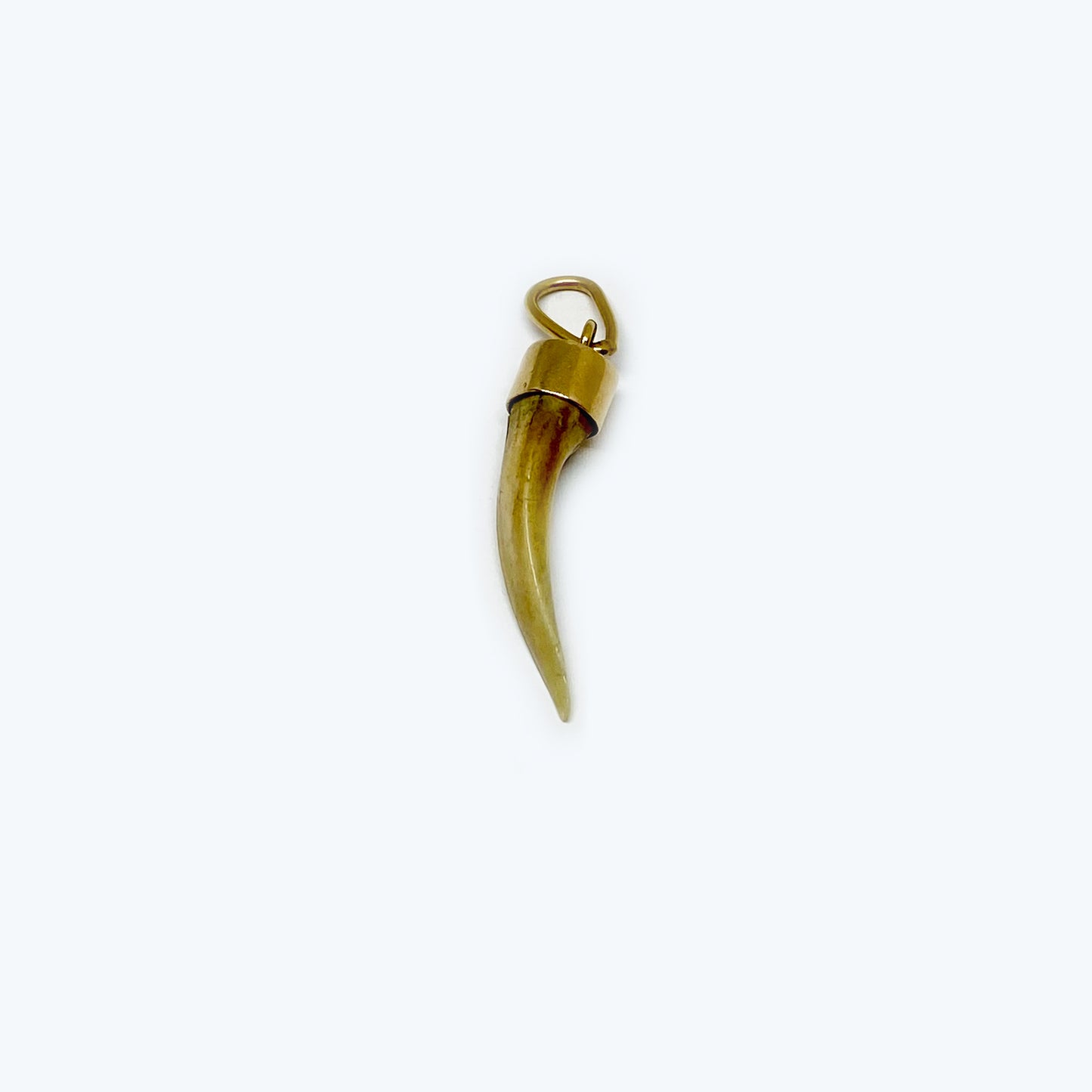 Antique 14k Gold Tooth, Animal Amulet Pendant