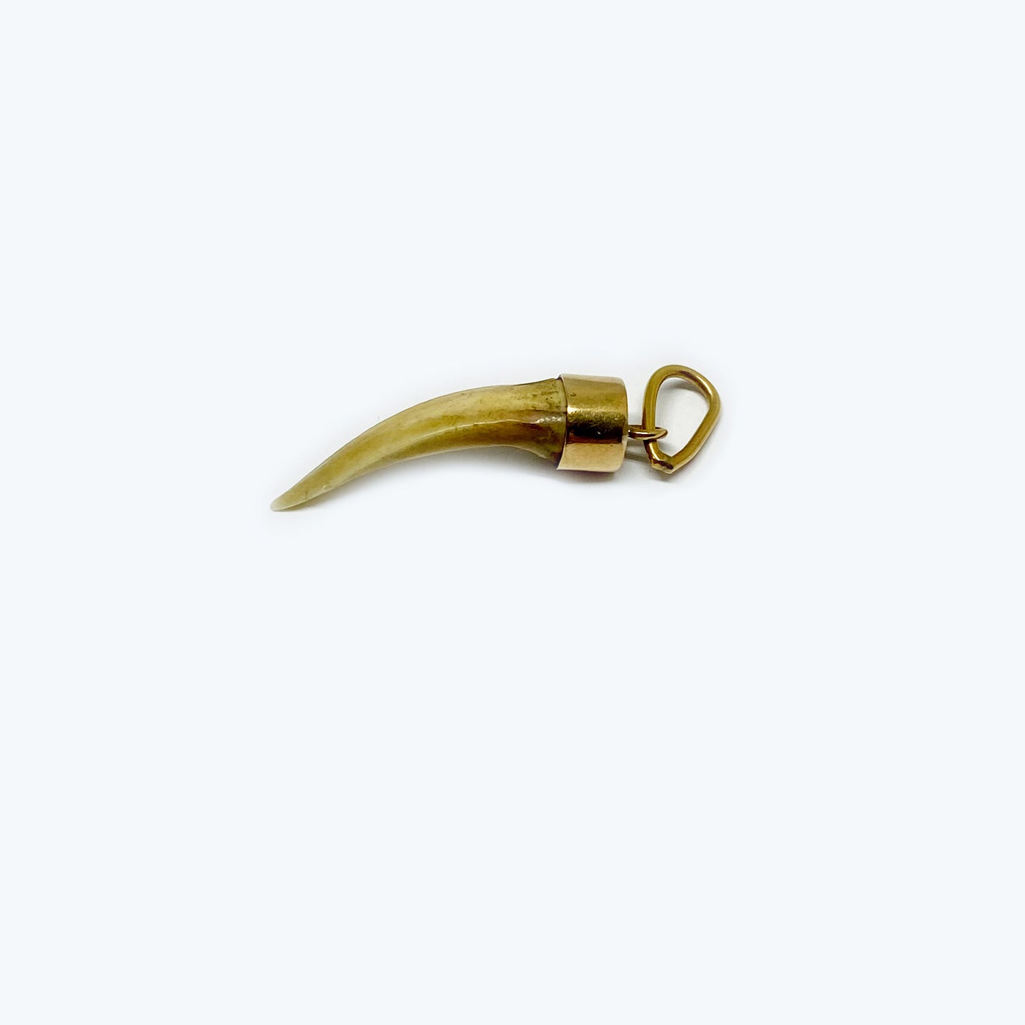 Antique 14k Gold Tooth, Animal Amulet Pendant