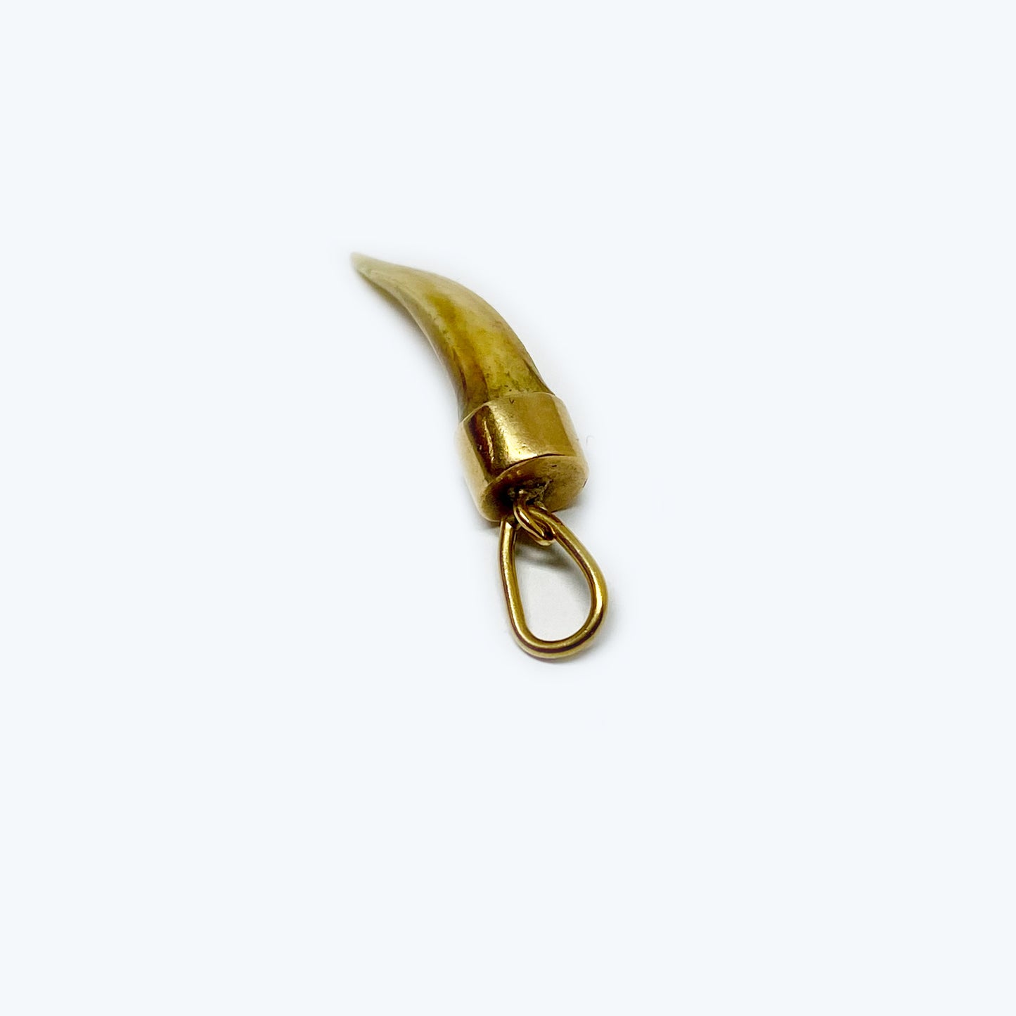 Antique 14k Gold Tooth, Animal Amulet Pendant