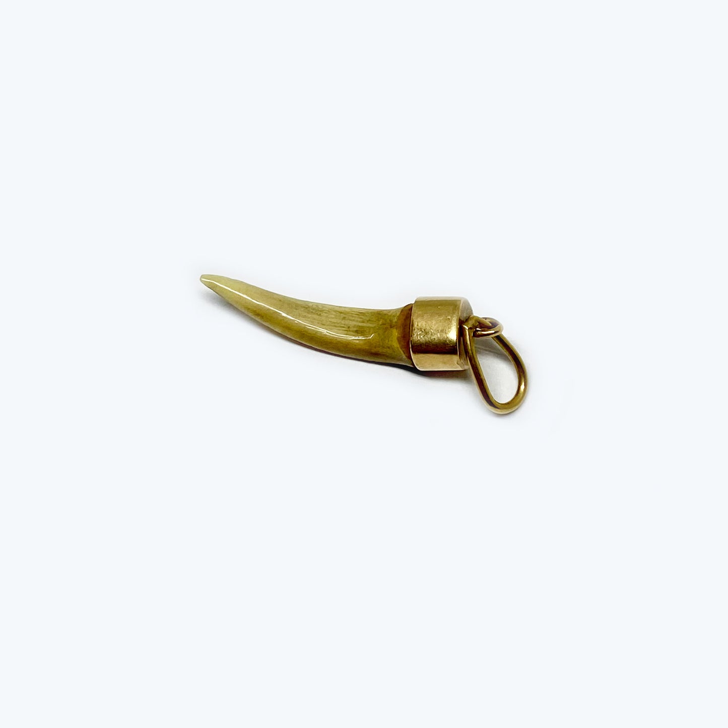 Antique 14k Gold Tooth, Animal Amulet Pendant