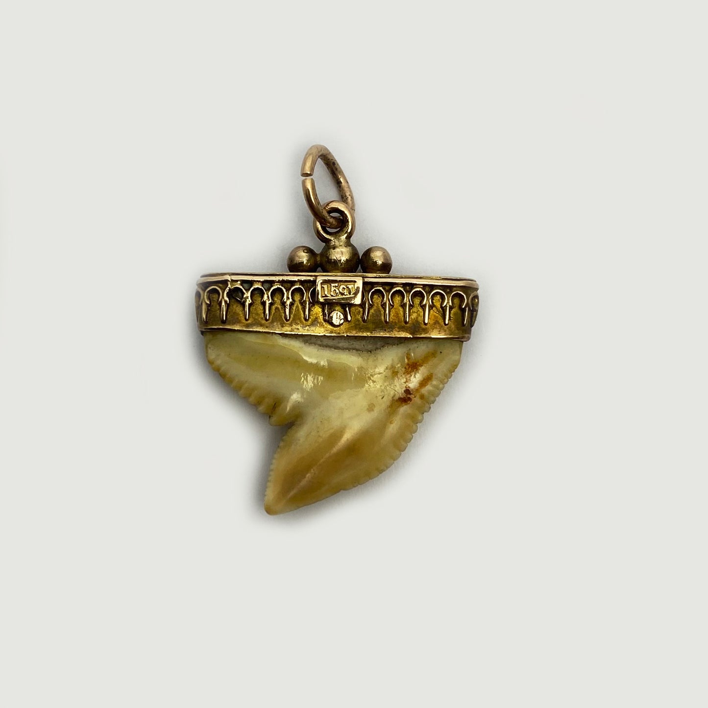 Victorian 15k Gold Shark Tooth Pendant, Antique 15 ct Gold Tooth Amulet