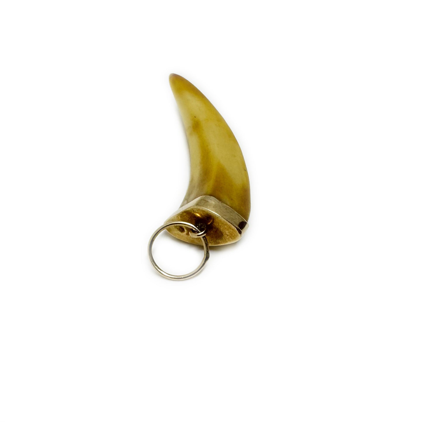 Antique Victorian 10K Gold Tooth Pendant, 1800s Fang Jewelry, 19th Century Gold Amulet, Animal Talisman, Evil Eye Protection