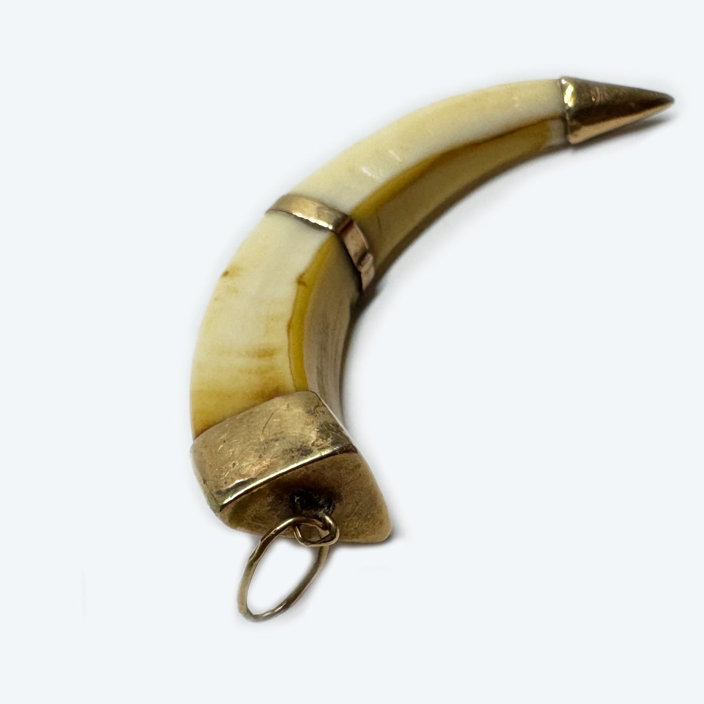 Victorian 14k Gold Boar Tusk Amulet, Antique Fang Pendant c.1880, Ethnic Good Luck Charm in Solid Gold