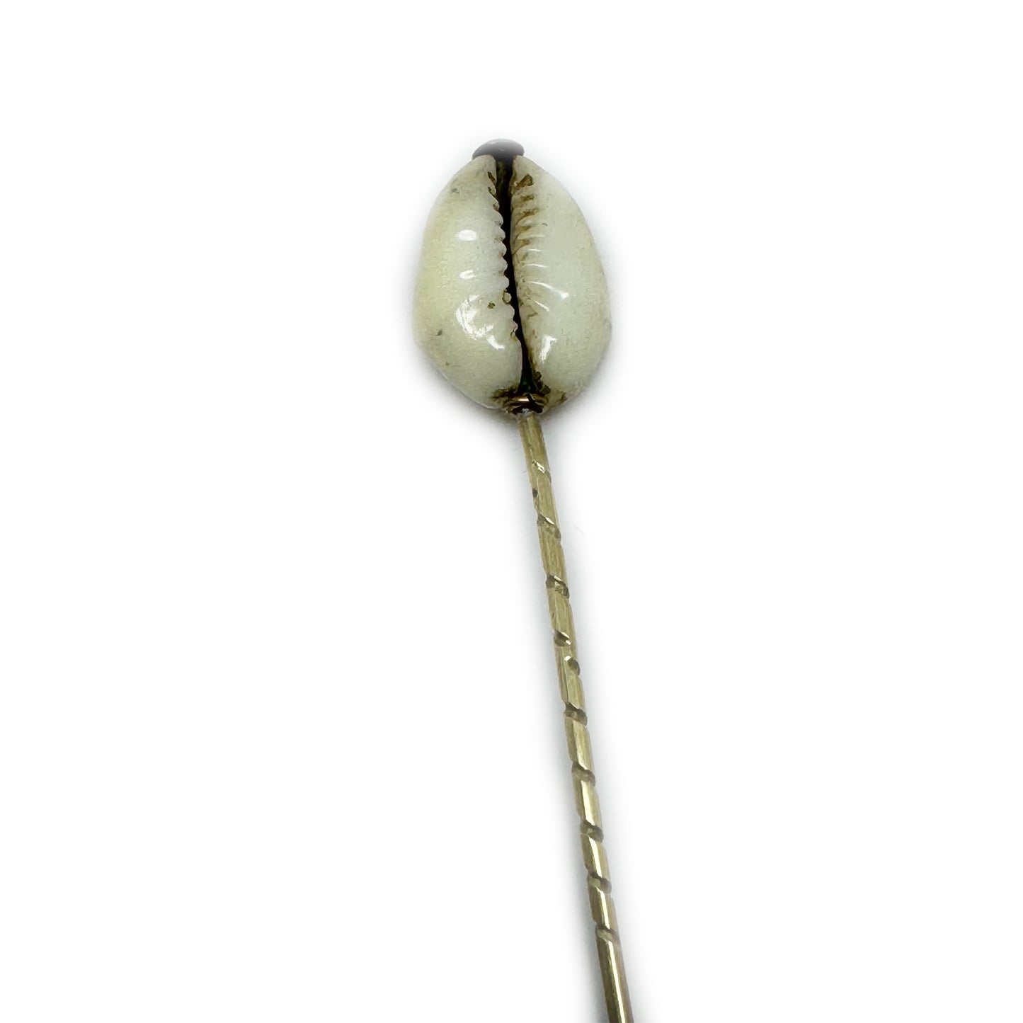Rare Victorian Cowrie Shell Cameo Stick Pin, Antique Italian Grand Tour Gold Plated Cravat Pin, Miniature Shell Portrait, 1800s