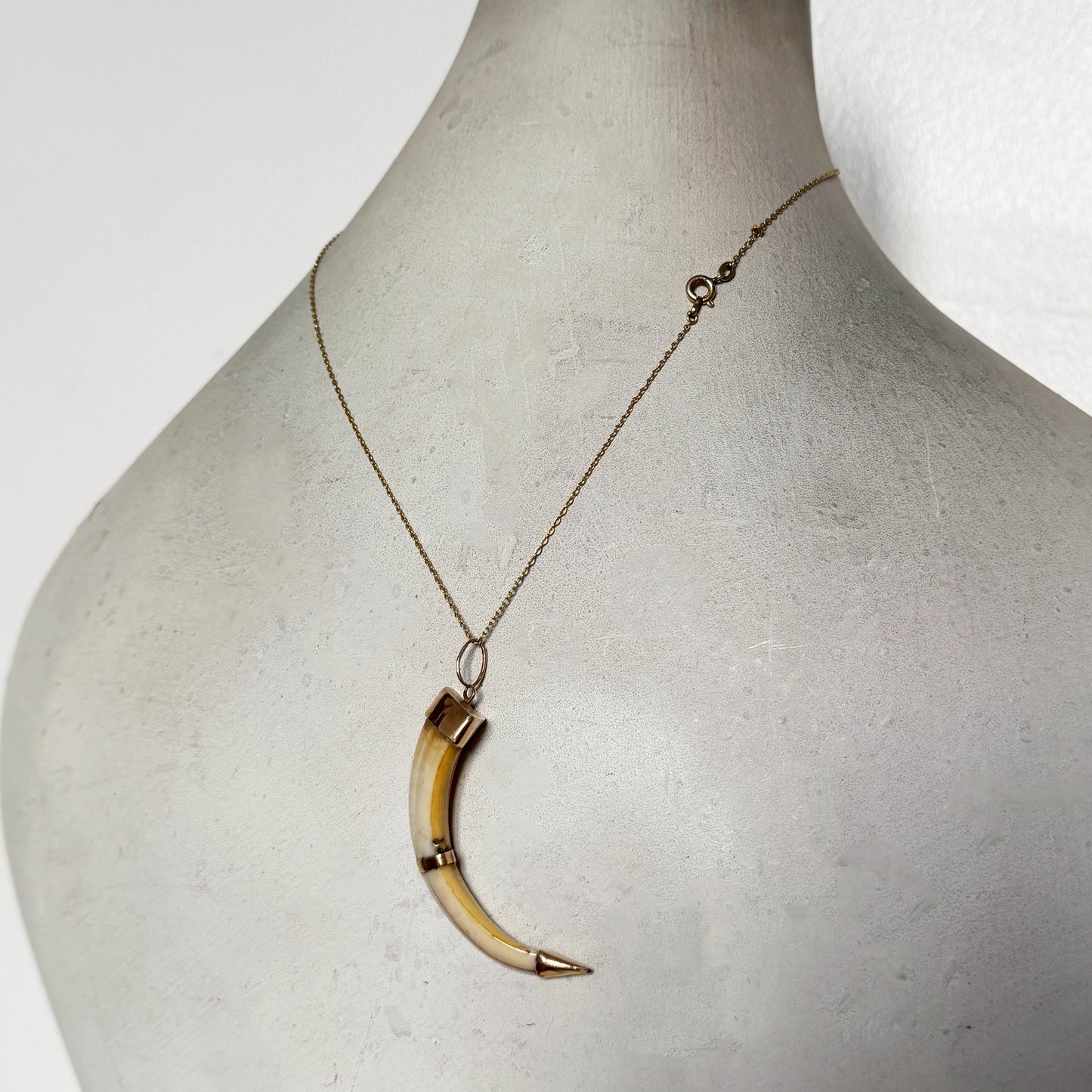 Victorian 14k Gold Boar Tusk Amulet, Antique Fang Pendant c.1880, Ethnic Good Luck Charm in Solid Gold