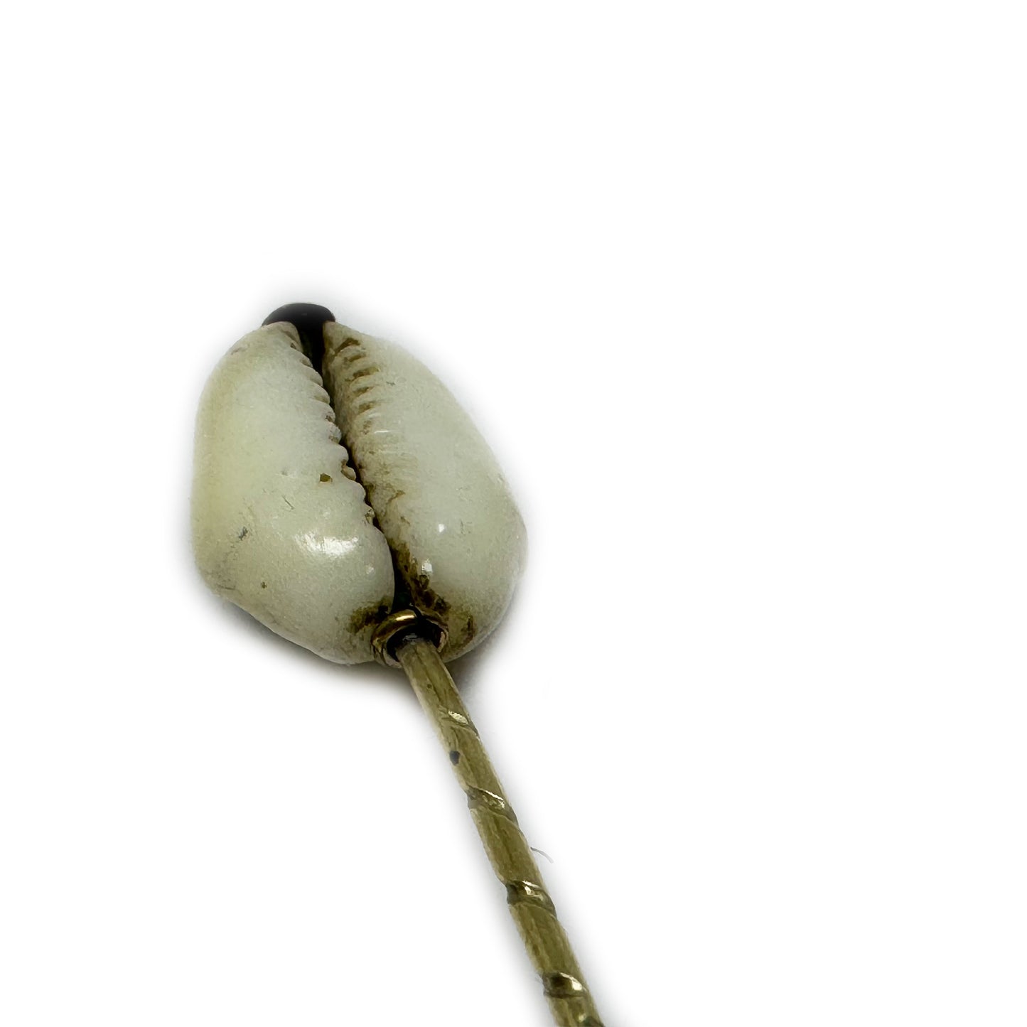 Rare Victorian Cowrie Shell Cameo Stick Pin, Antique Italian Grand Tour Gold Plated Cravat Pin, Miniature Shell Portrait, 1800s
